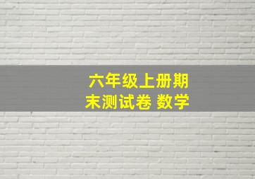 六年级上册期末测试卷 数学